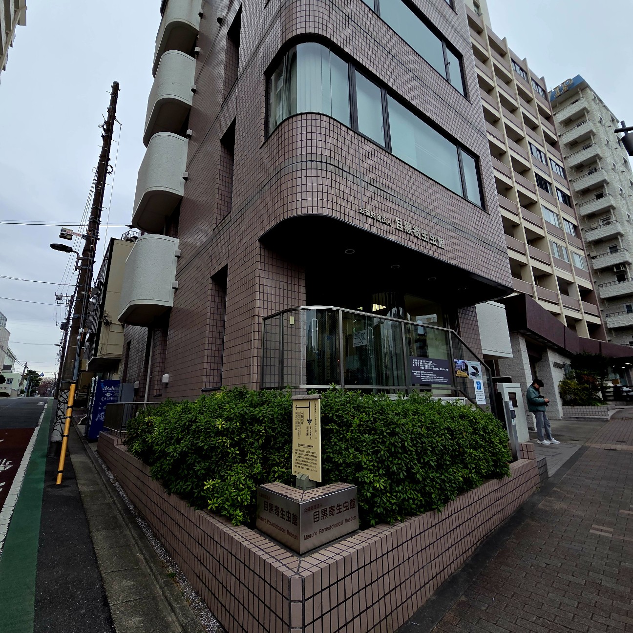 f:id:kannonta:20251227214038j:image