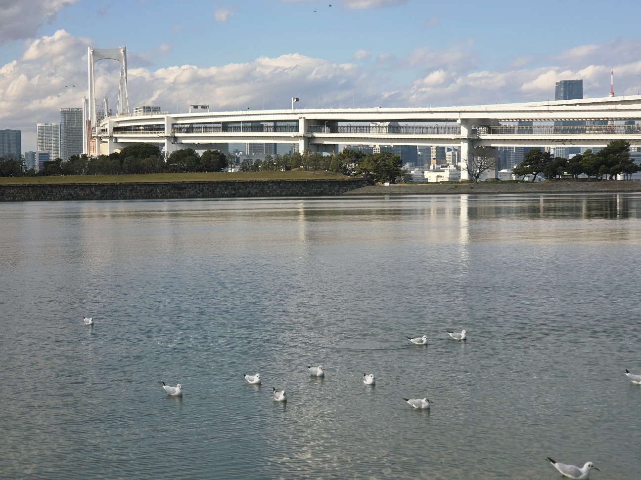 f:id:kannonta:20260102172608j:image