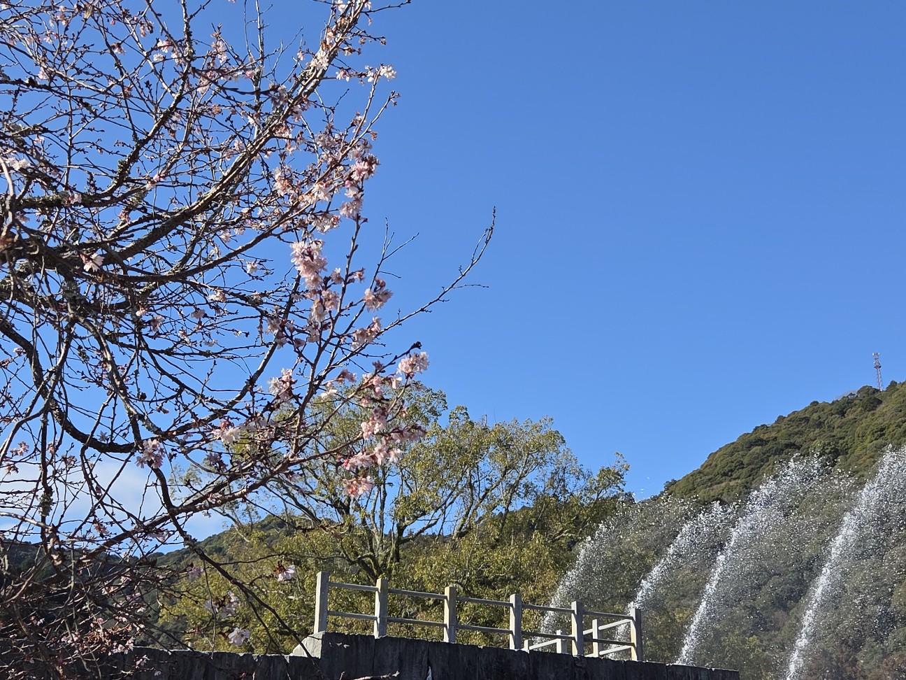 f:id:kannonta:20260112211647j:image