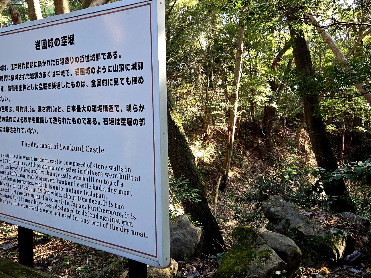 f:id:kannonta:20260112212853j:image