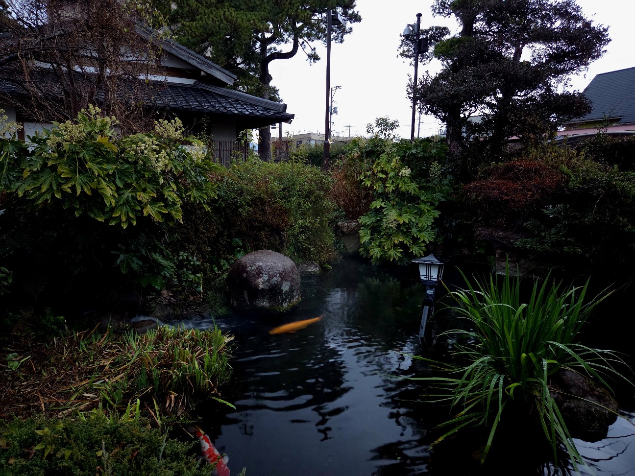 f:id:kannonta:20260113193512j:image