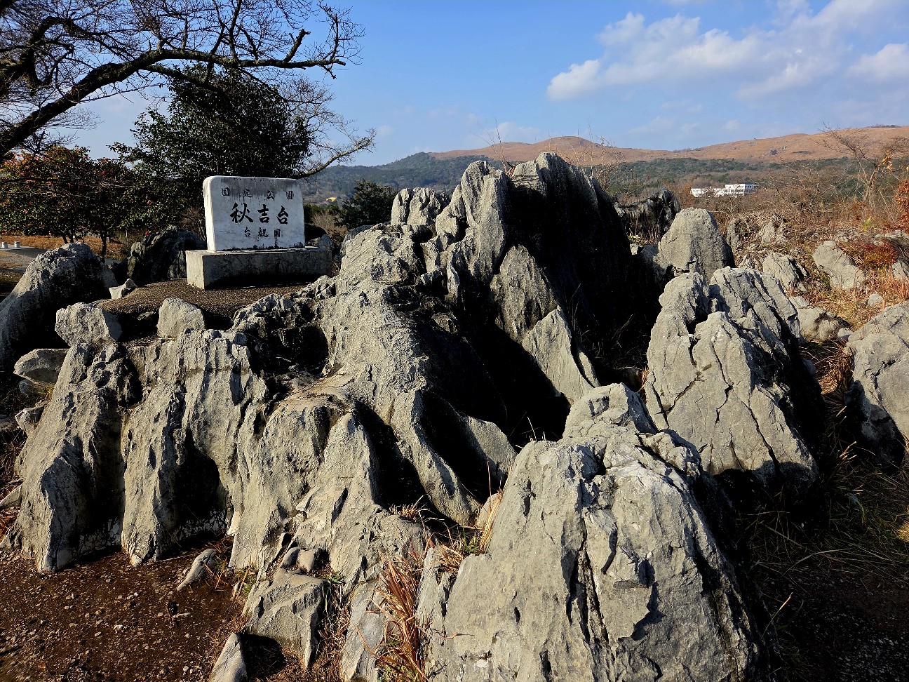 f:id:kannonta:20260113203445j:image