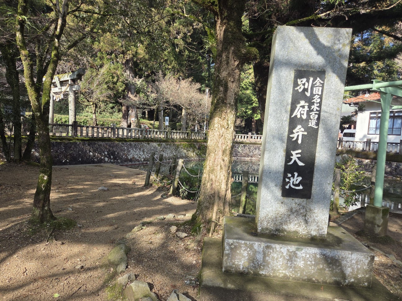 f:id:kannonta:20260113203913j:image