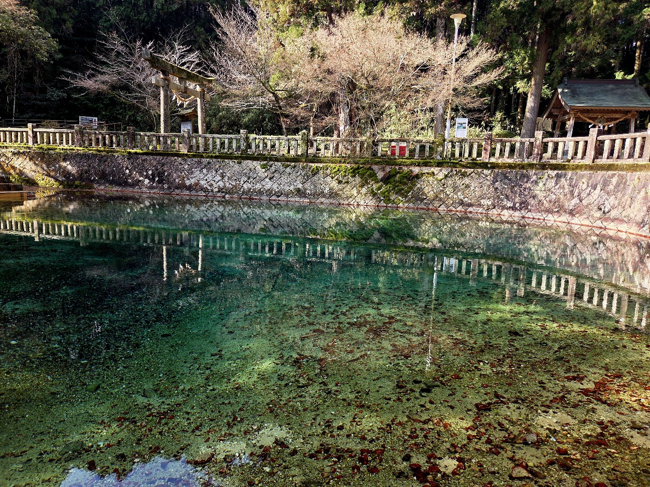 f:id:kannonta:20260113204458j:image