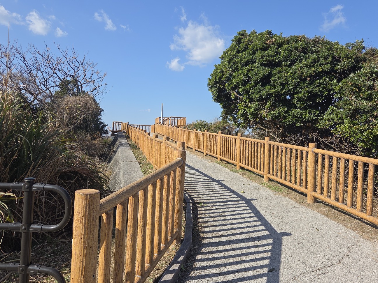 f:id:kannonta:20260113205117j:image