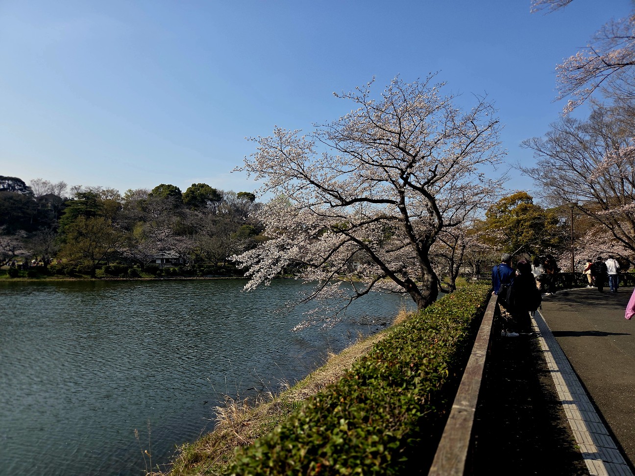 f:id:kannonta:20260328200843j:image