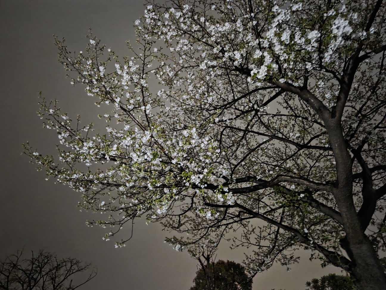 f:id:kannonta:20260328204501j:image