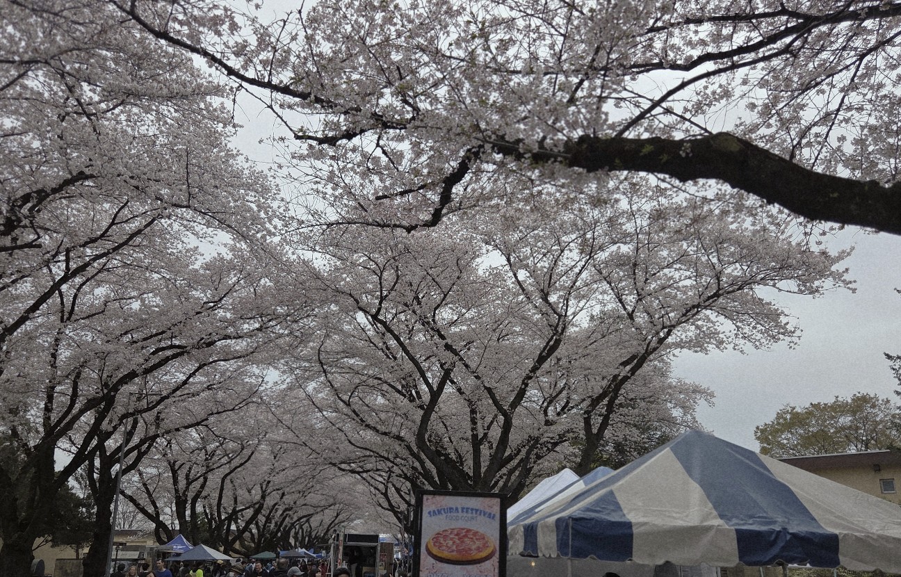 横田基地 サクラ･スプリング･フェスティバル2026 - かんのん日記