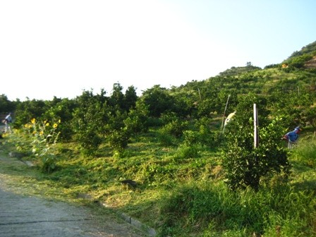 f:id:kannonyama:20080911164518j:image f:id:kannonyama:20080911164518j:image