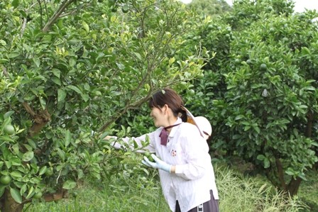f:id:kannonyama:20090728152146j:image f:id:kannonyama:20090728152146j:image
