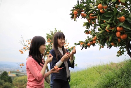 f:id:kannonyama:20091025120743j:image f:id:kannonyama:20091025120743j:image
