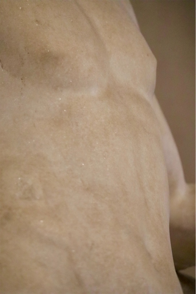f:id:kannouchgoukoku:20241116002716j:image f:id:kannouchgoukoku:20241116002716j:image