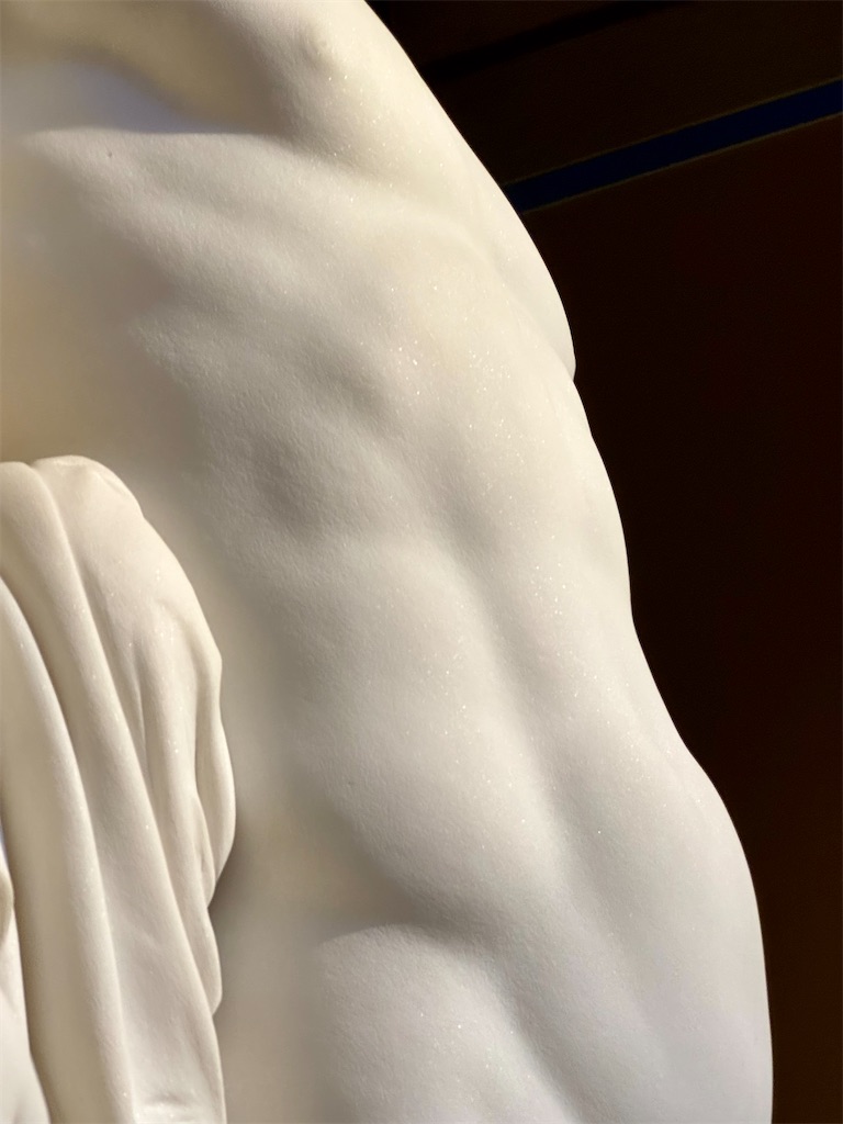 f:id:kannouchgoukoku:20241120151859j:image