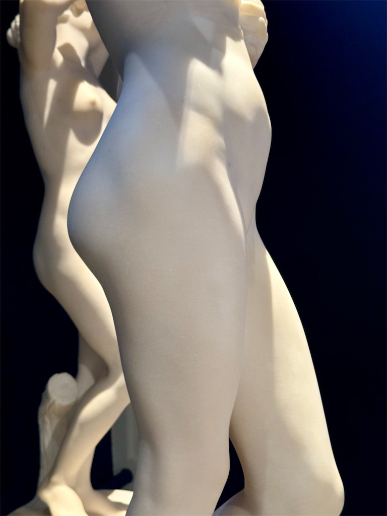 f:id:kannouchgoukoku:20241201135918j:image