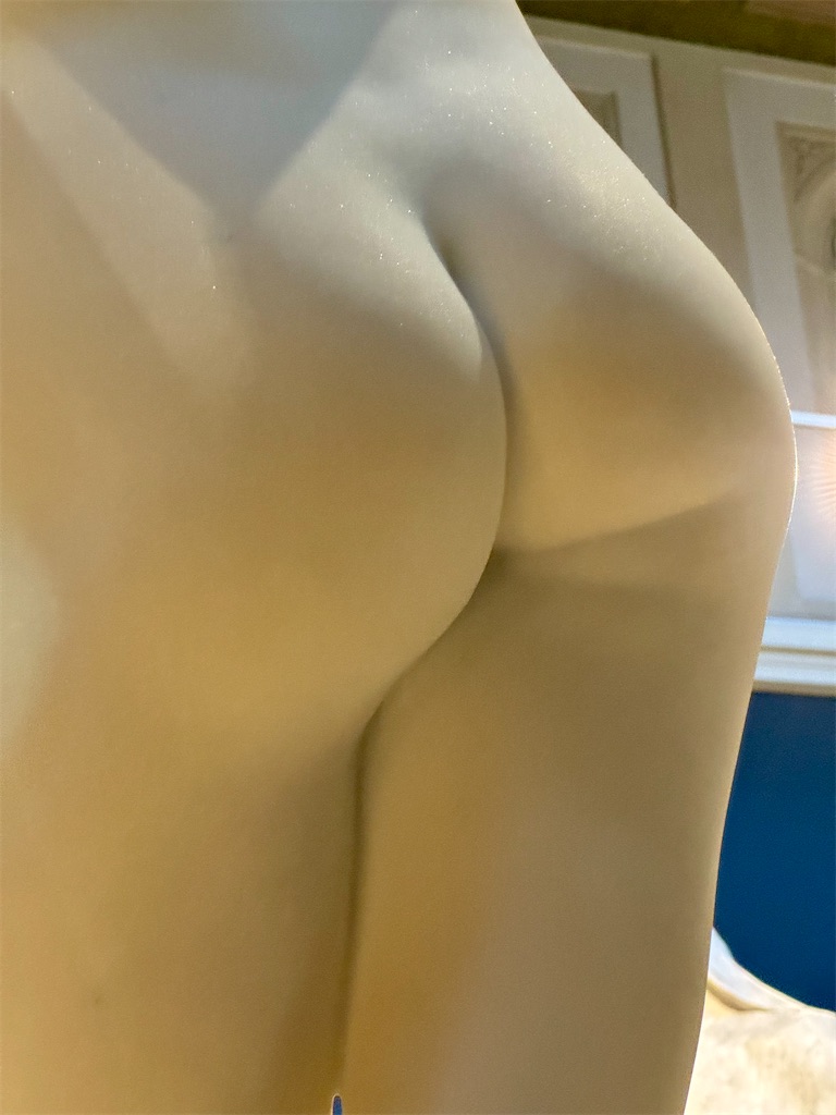 f:id:kannouchgoukoku:20241201135934j:image
