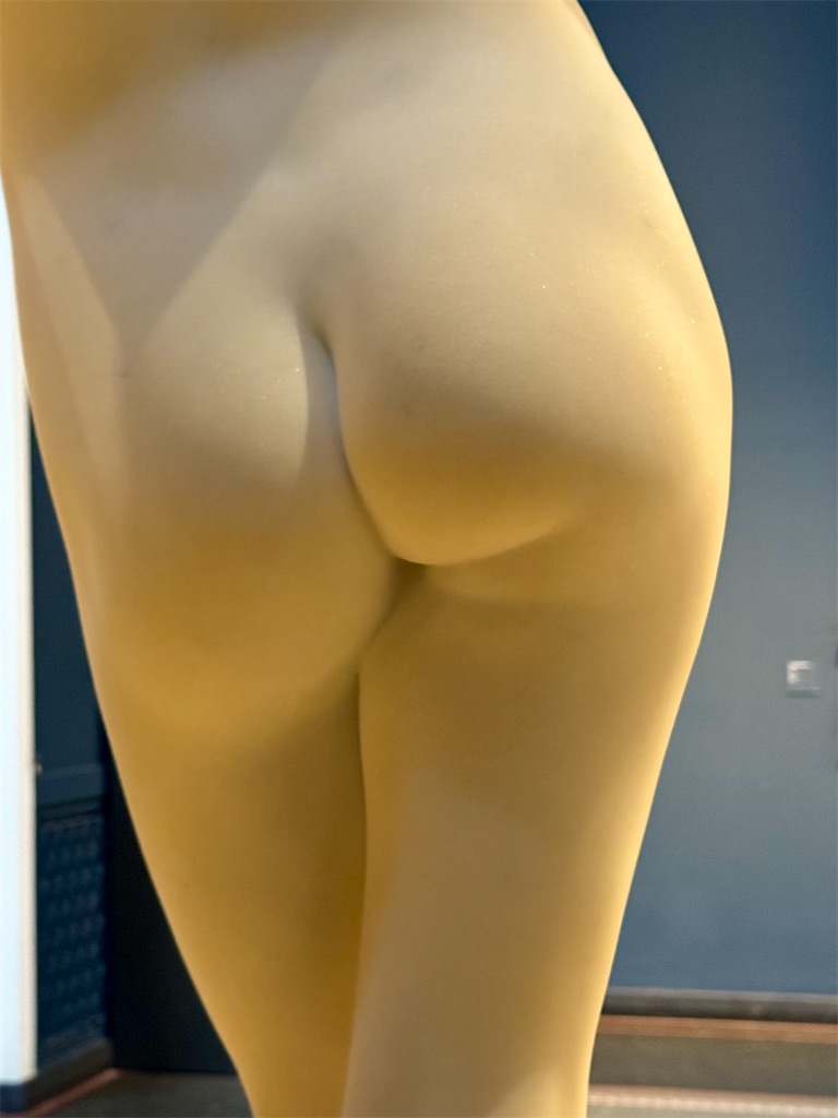 f:id:kannouchgoukoku:20241201135945j:image