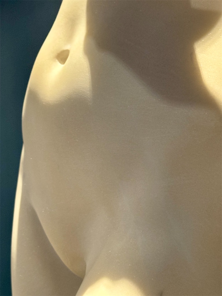 f:id:kannouchgoukoku:20241201140010j:image