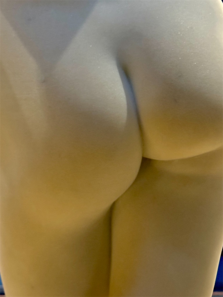 f:id:kannouchgoukoku:20241201140018j:image