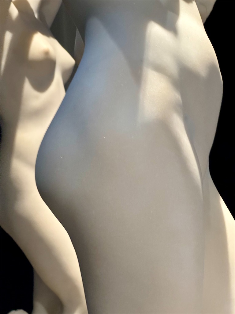 f:id:kannouchgoukoku:20241201140026j:image