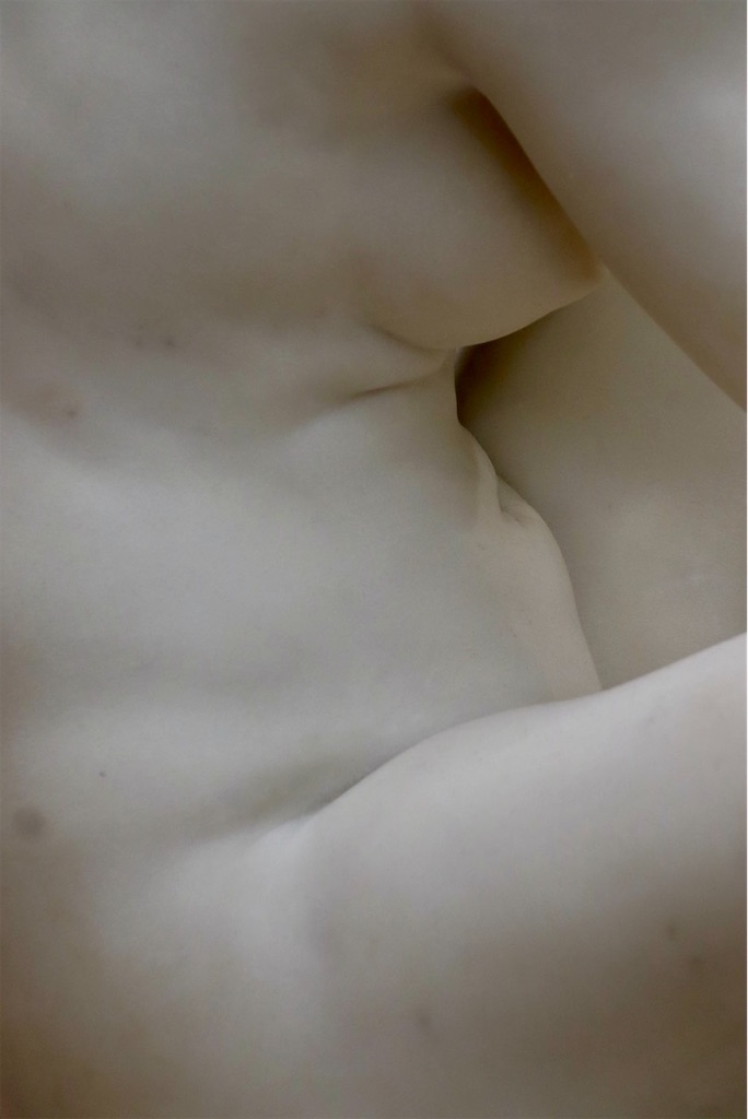 f:id:kannouchgoukoku:20241211165522j:image