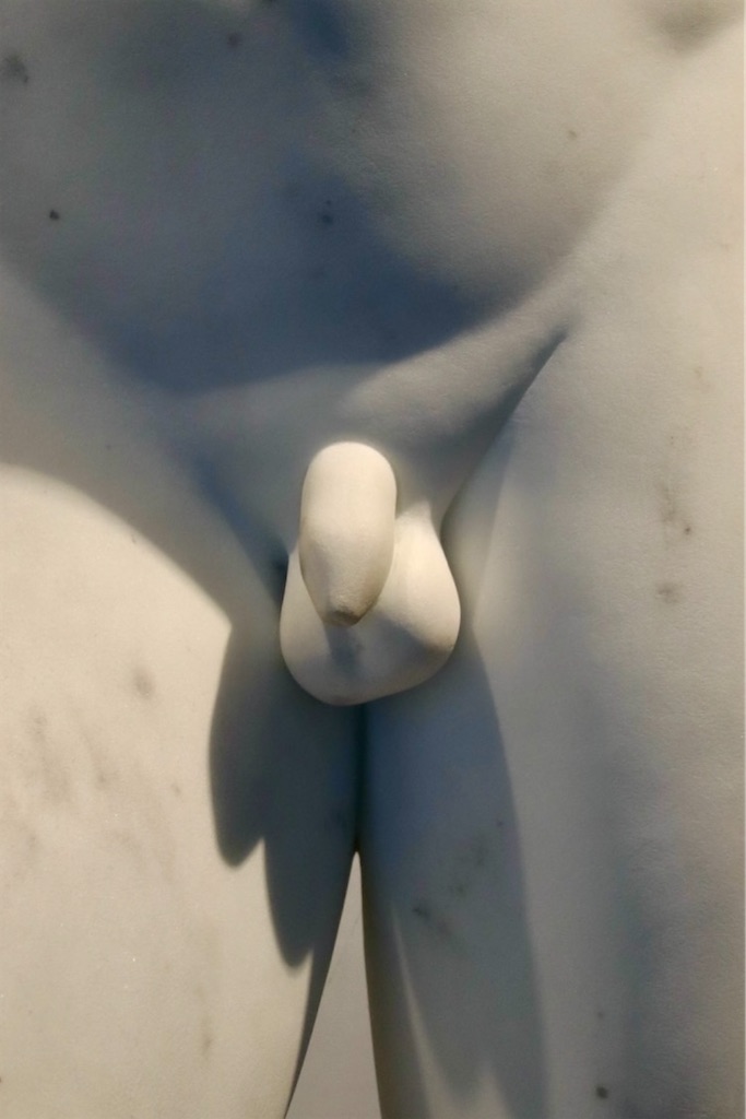 f:id:kannouchgoukoku:20241219165545j:image f:id:kannouchgoukoku:20241219165545j:image