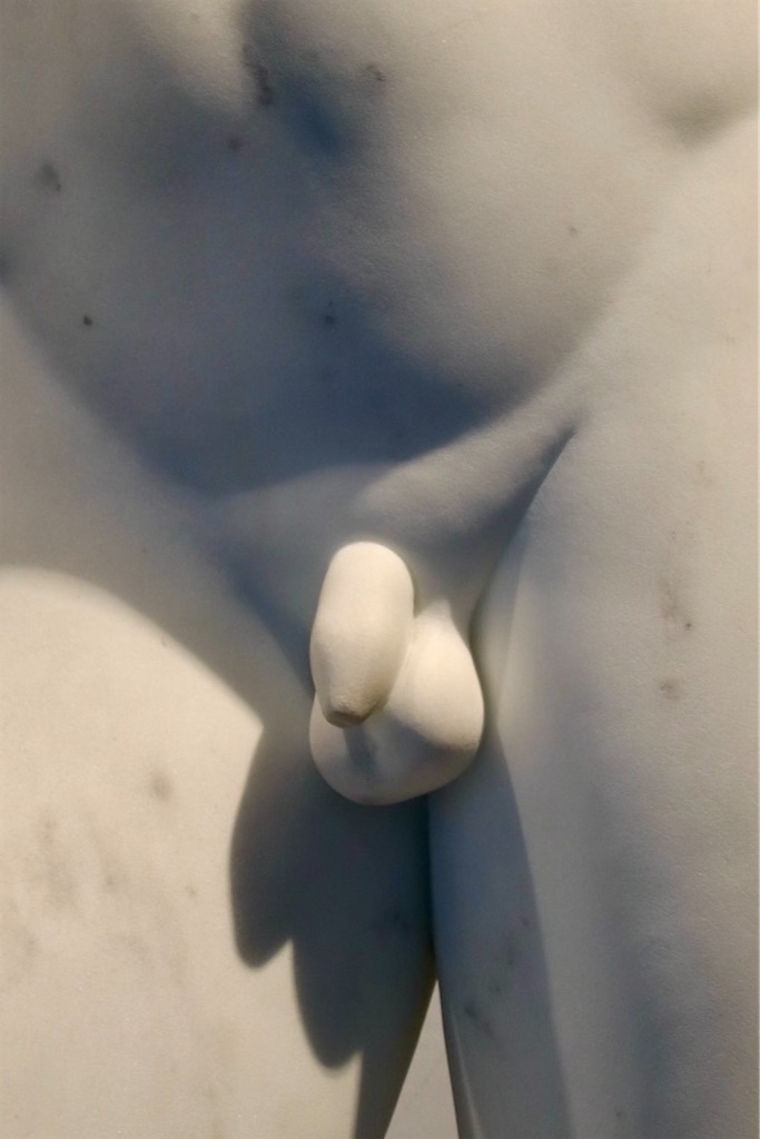 f:id:kannouchgoukoku:20241219165611j:image f:id:kannouchgoukoku:20241219165611j:image