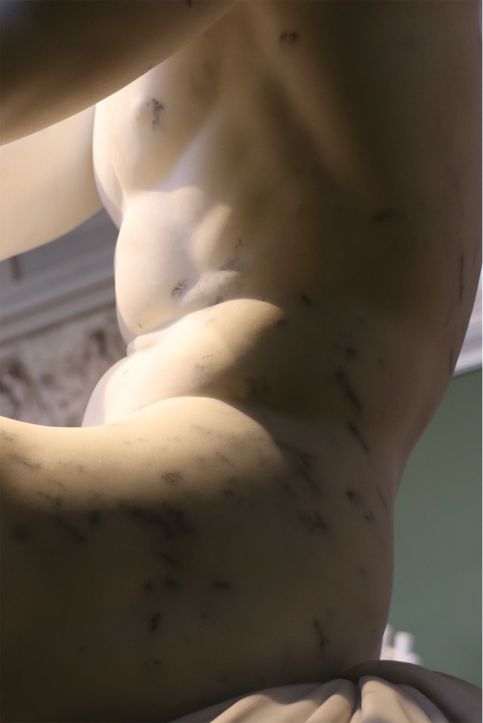 f:id:kannouchgoukoku:20250120191609j:image
