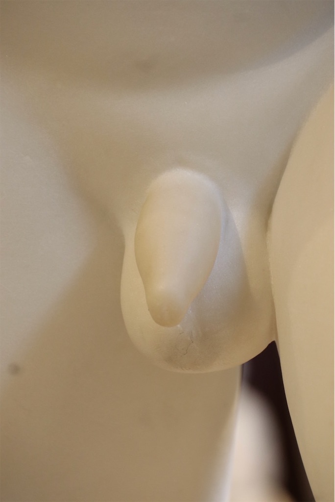 f:id:kannouchgoukoku:20250121233725j:image
