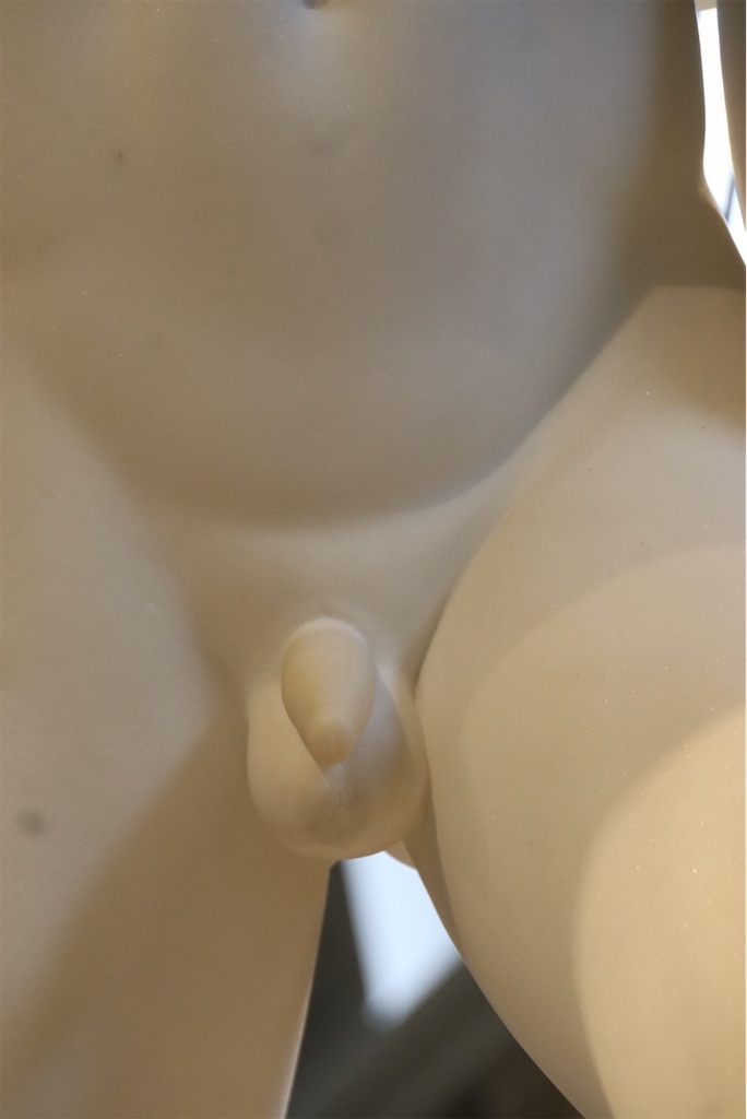 f:id:kannouchgoukoku:20250121233741j:image