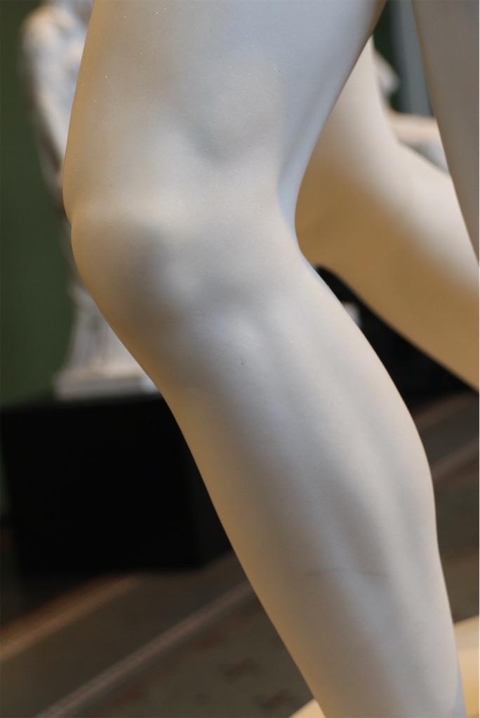 f:id:kannouchgoukoku:20250121233929j:image