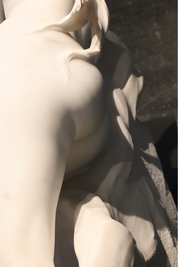 f:id:kannouchgoukoku:20250125030315j:image