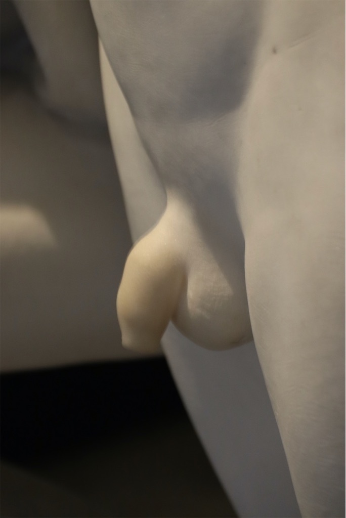 f:id:kannouchgoukoku:20250125031128j:image