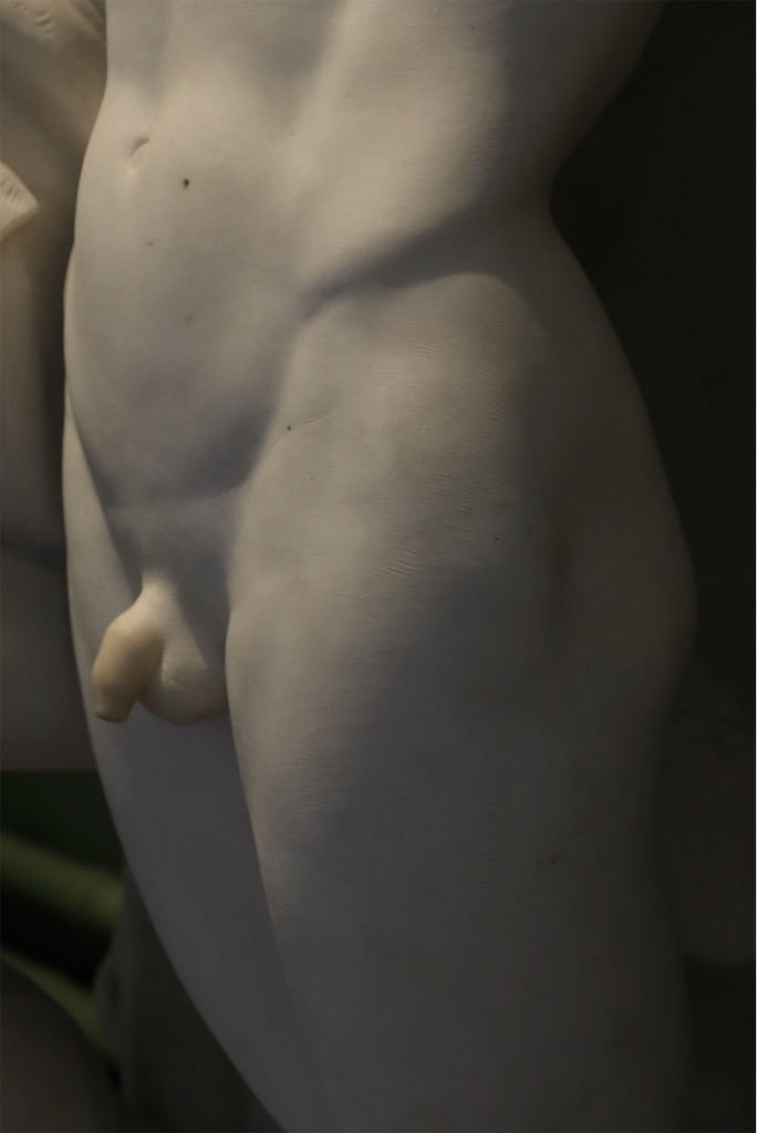 f:id:kannouchgoukoku:20250125031316j:image