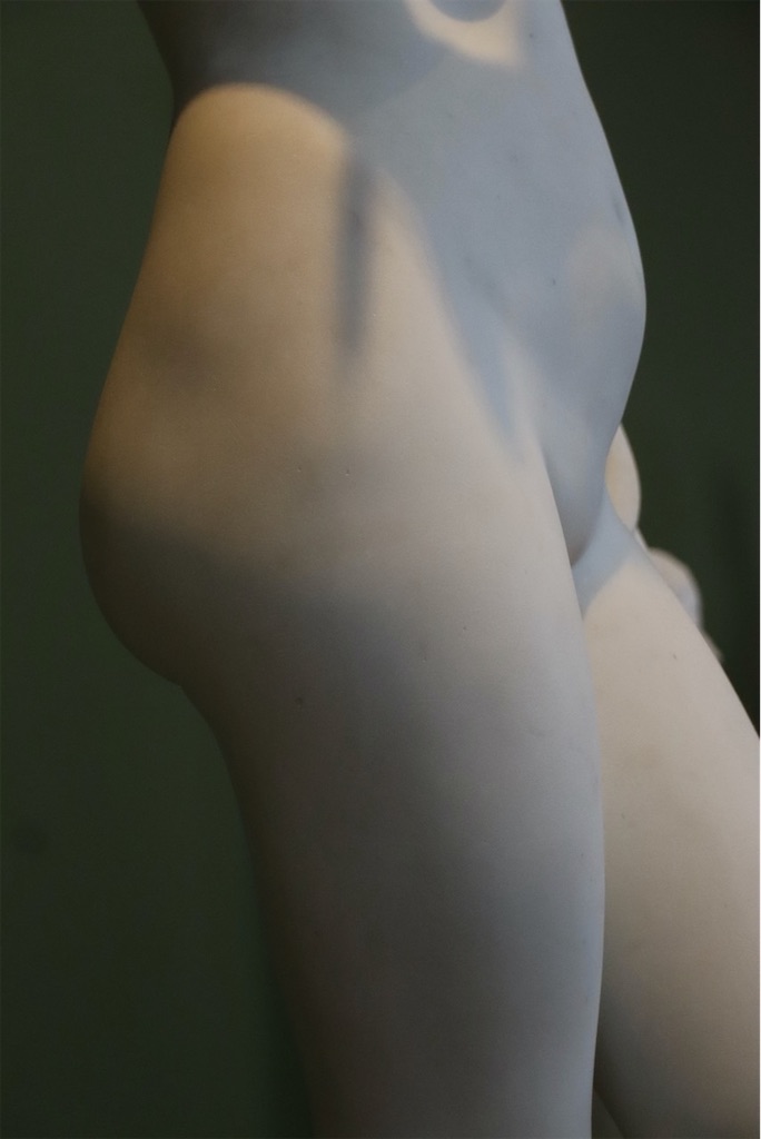 f:id:kannouchgoukoku:20250125032434j:image