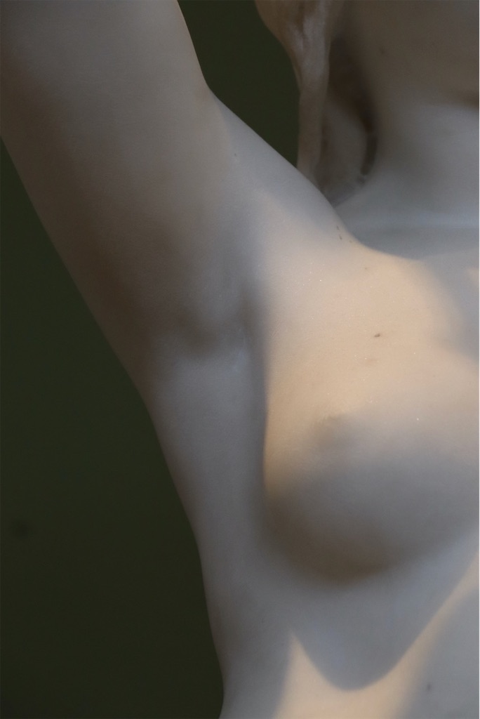 f:id:kannouchgoukoku:20250125032512j:image