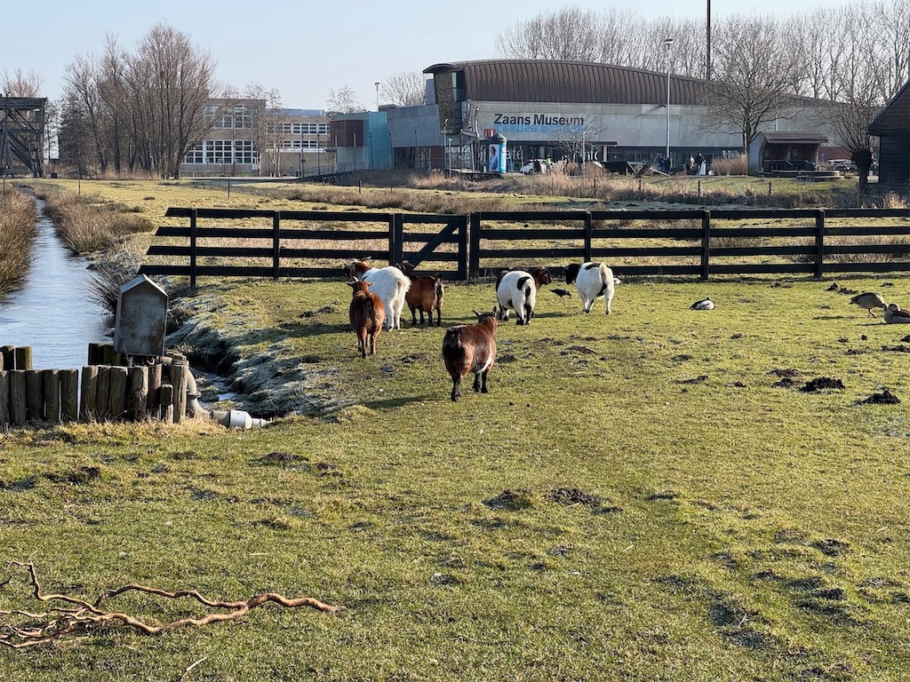 f:id:kannouchgoukoku:20250227162112j:image