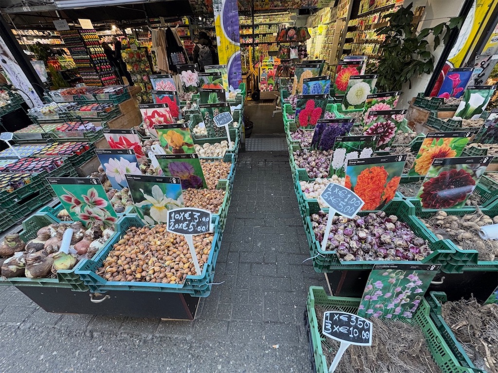 f:id:kannouchgoukoku:20250227162130j:image