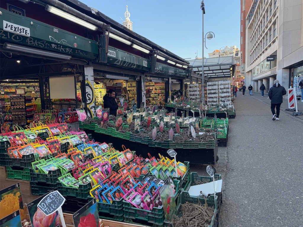 f:id:kannouchgoukoku:20250227162210j:image