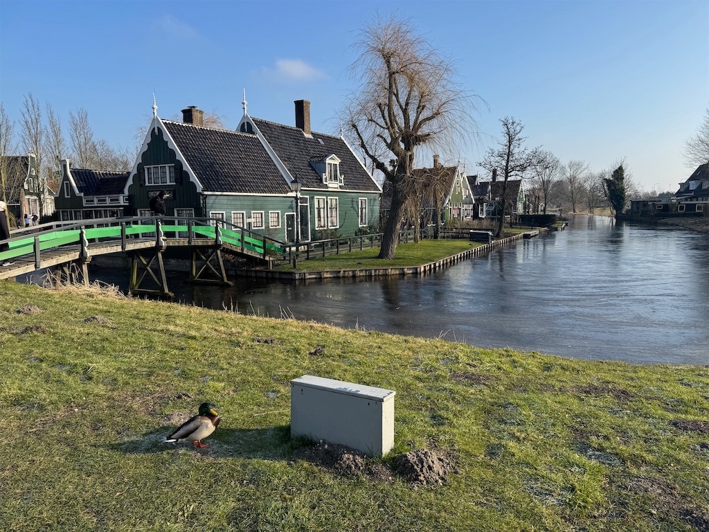 f:id:kannouchgoukoku:20250227162221j:image