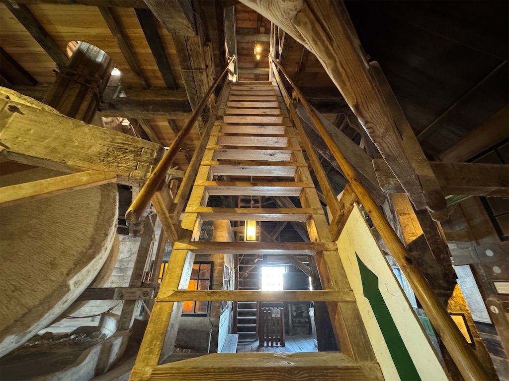 f:id:kannouchgoukoku:20250227162319j:image