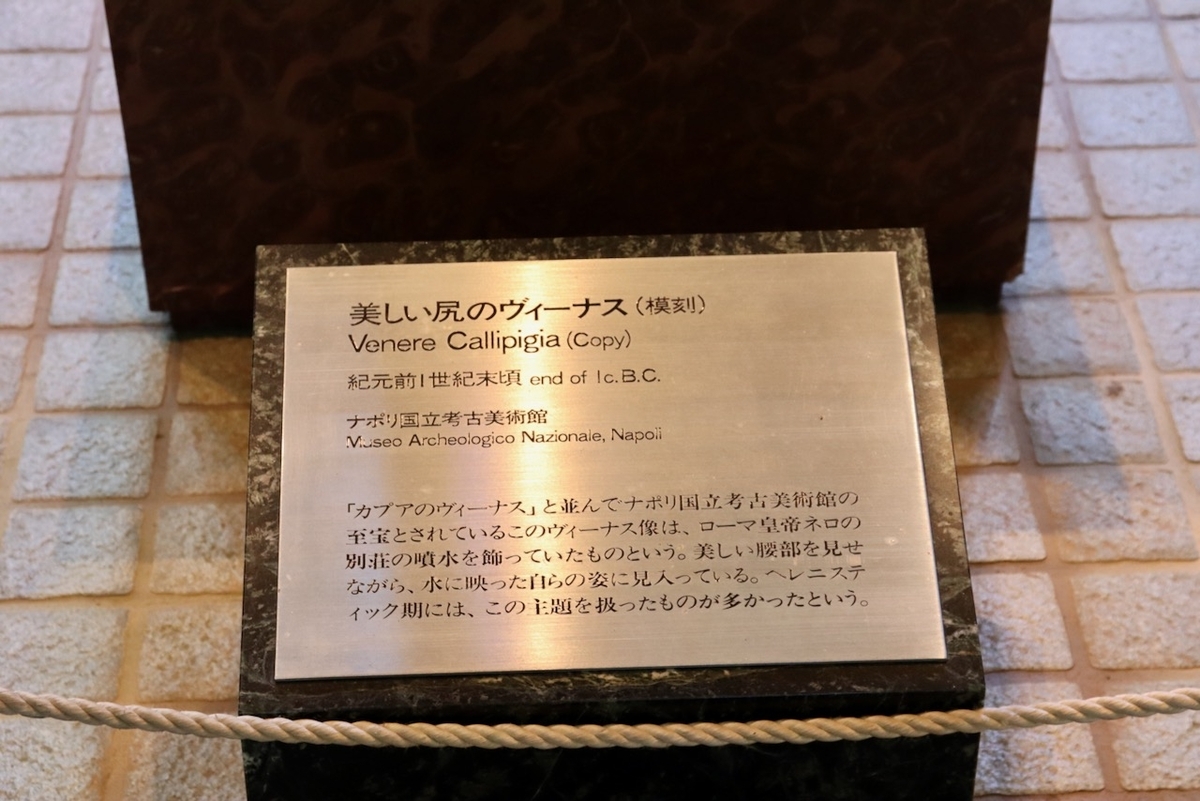 《美しい尻のヴィーナス・模刻》|細部接写画像(美ヶ原高原美術館)