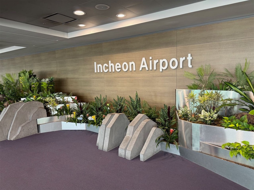 f:id:kannouchgoukoku:20260110132655j:image f:id:kannouchgoukoku:20260110132655j:image