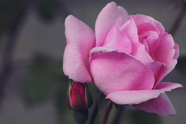 f:id:kannpai:20210528181843j:plain