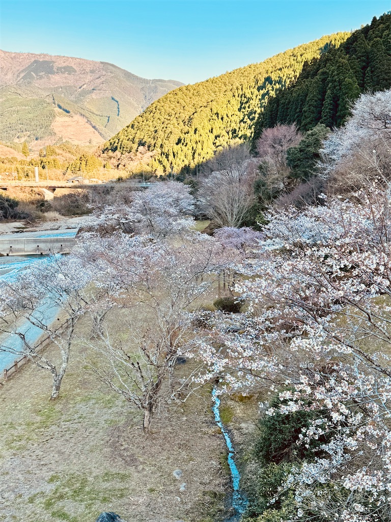 f:id:kannrekizizi:20240322082551j:image