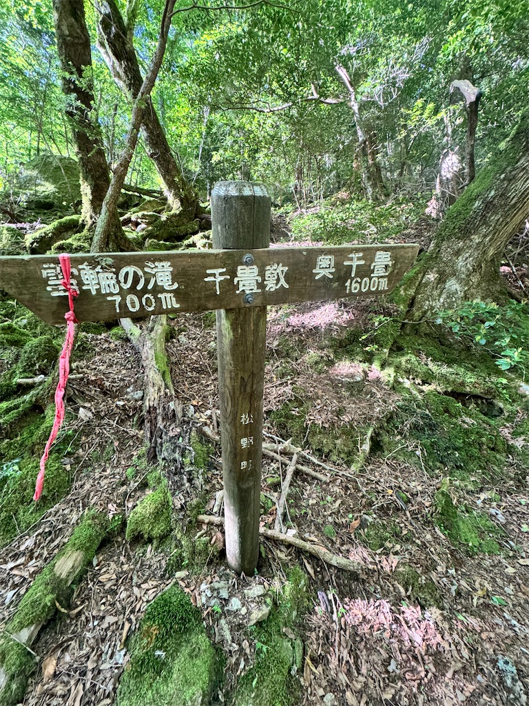 f:id:kannrekizizi:20240518133731j:image