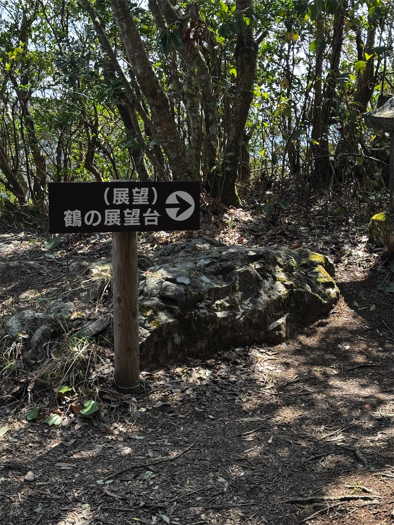 f:id:kannrekizizi:20250322153931j:image