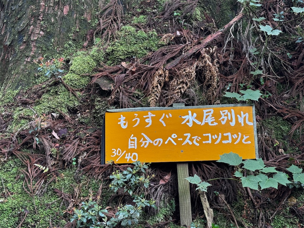 f:id:kannrekizizi:20250429132733j:image