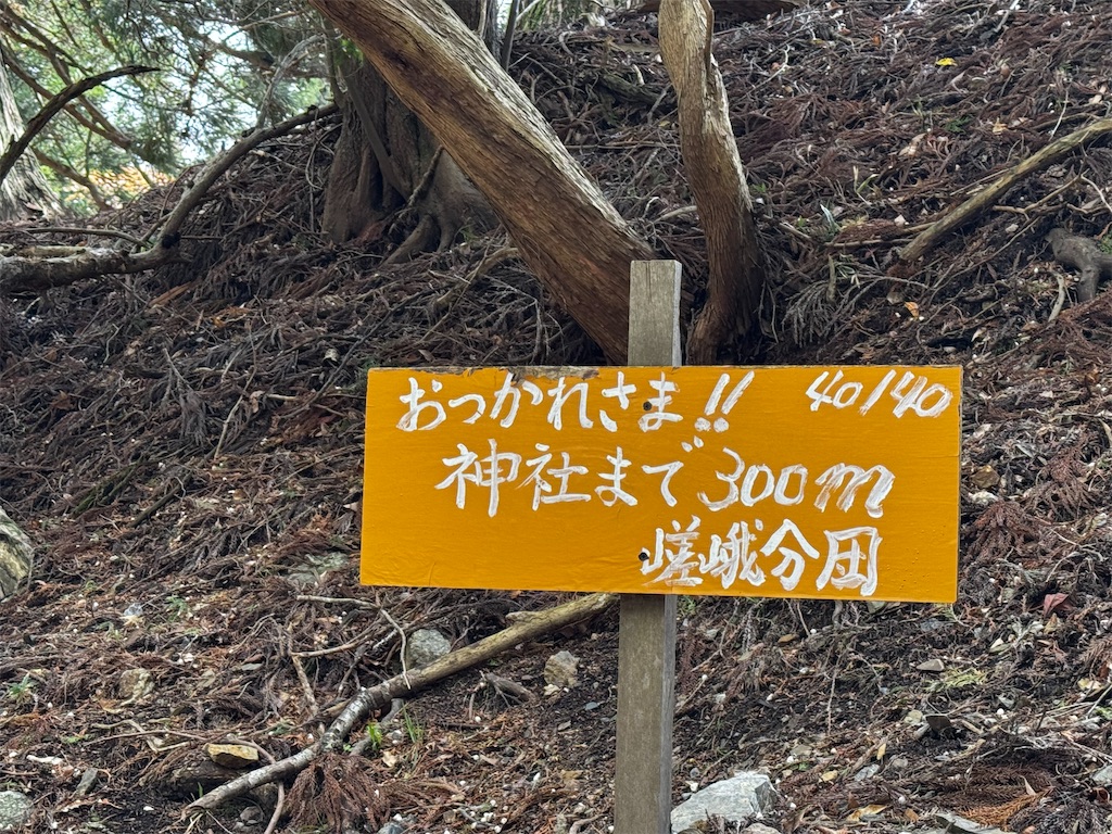f:id:kannrekizizi:20250429132850j:image