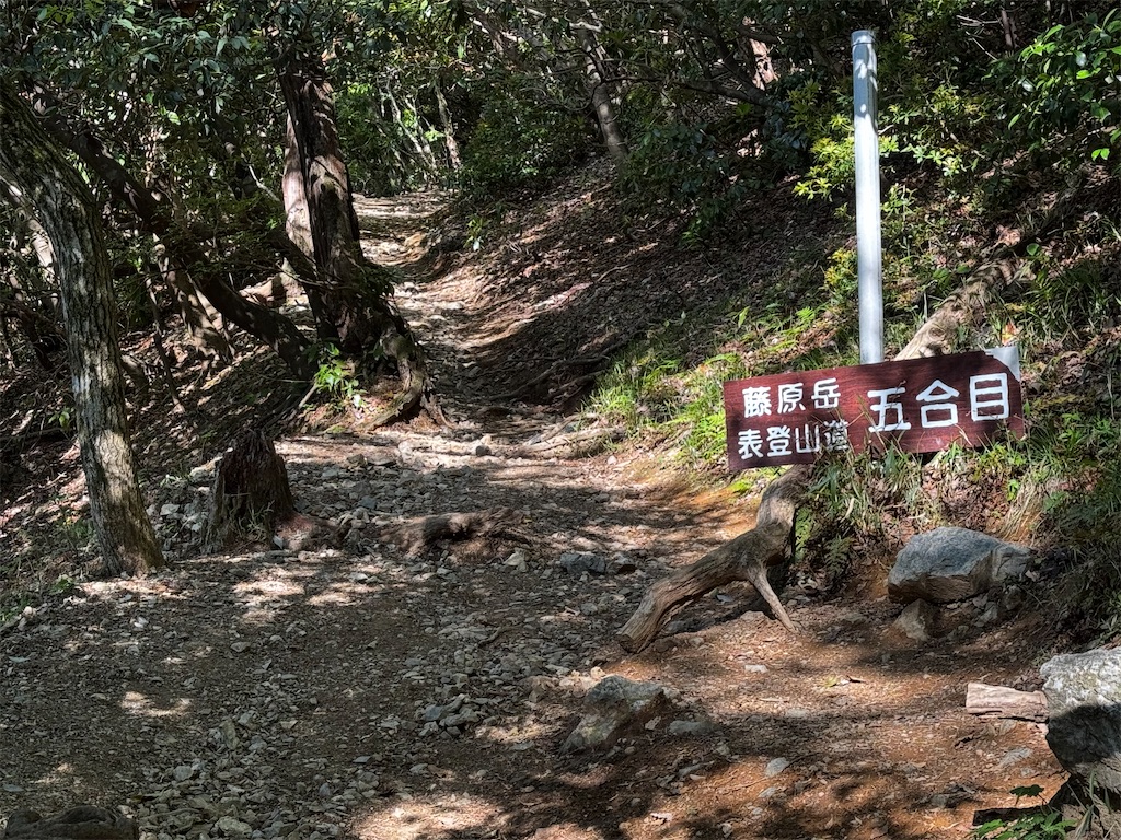 f:id:kannrekizizi:20250501152806j:image