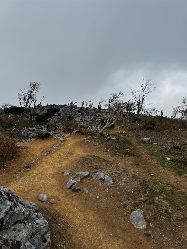 f:id:kannrekizizi:20250501154014j:image